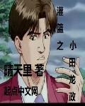 灌篮之小田龙政全集