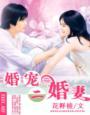 二婚新妻一世宠爱免费