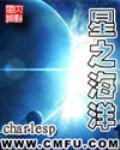 星之海洋2重制版wiki