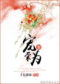 第四本宠妻为上