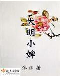 大明小婢上