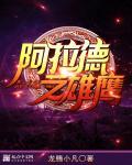 阿拉德英雄传