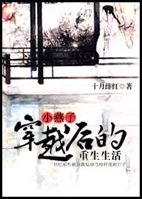 还珠之穿越成小燕子