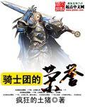 骑士团数量