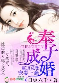 总裁奉子成婚系列完结