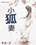 小狐妻子