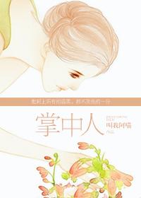 八轮轮子位置示意图