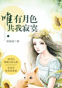 唯有月色,共我寂寞