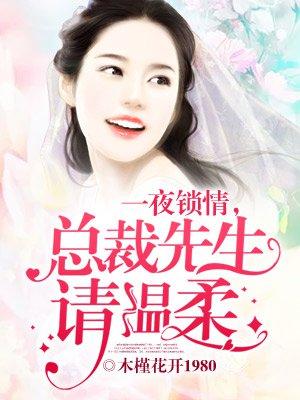 一夜锁情,总裁先生请温柔苏青关暮深