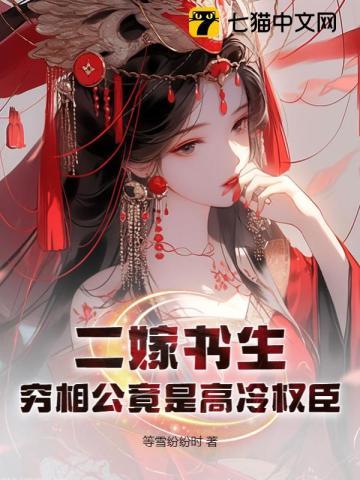 二嫁书生,穷相公竟是高冷权臣