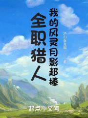 全职猎人:我的风灵月影超棒