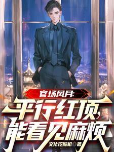 官场风月:平行红顶,能看见麻烦