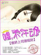 傲娇上司潜规则:嘘,不许动